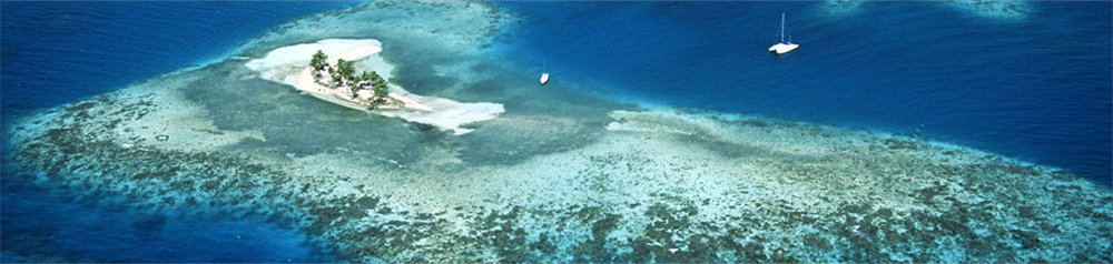 Criação de sociedade offshore em Belize
