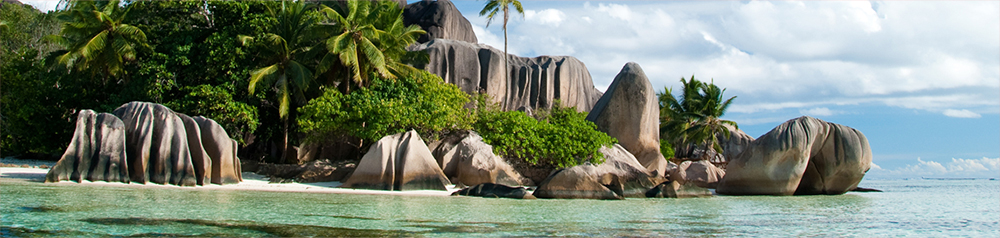 Criação de sociedade offshore nas Seychelles